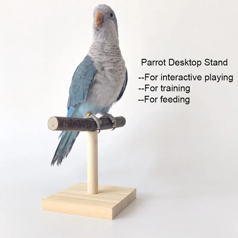 자연 데스크탑 스탠드 애완 동물 앵무새 원시 나무 포크 - Desk Setup Wood 리뷰 및 가격